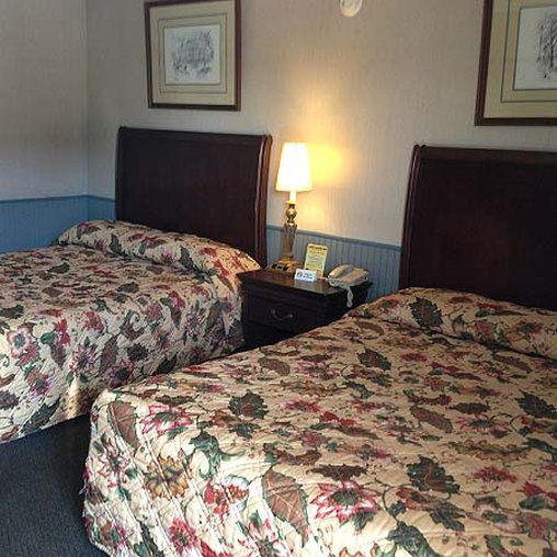 Cadet Motor Inn - Coldwater Room photo